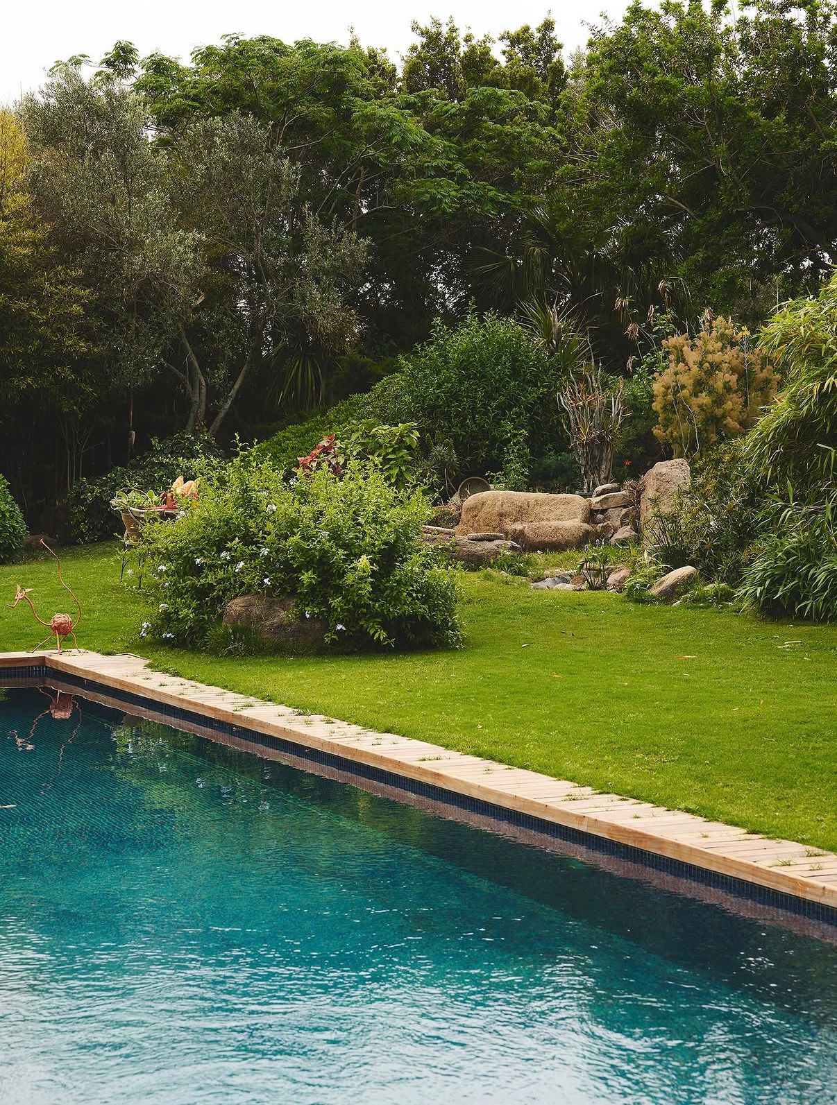 Pool with garden and olive trees beyond