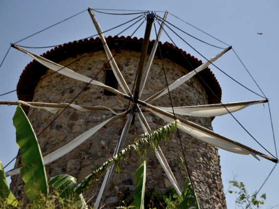 Stone windmill tower with white fabric sails and a red-tiled roof, seen from below through broad green banana leaves under a clear blue sky