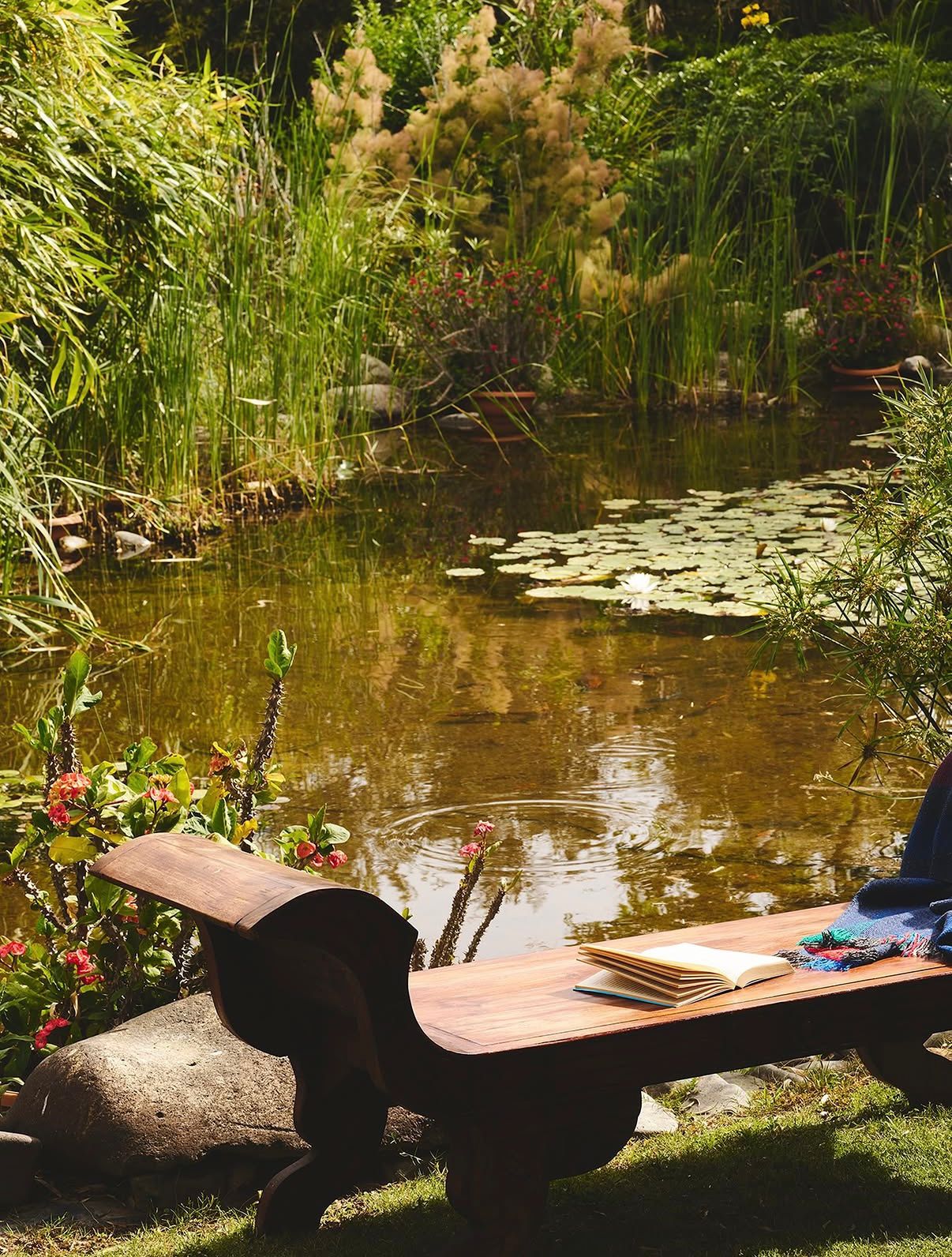 Wooden bench beside the lily pond