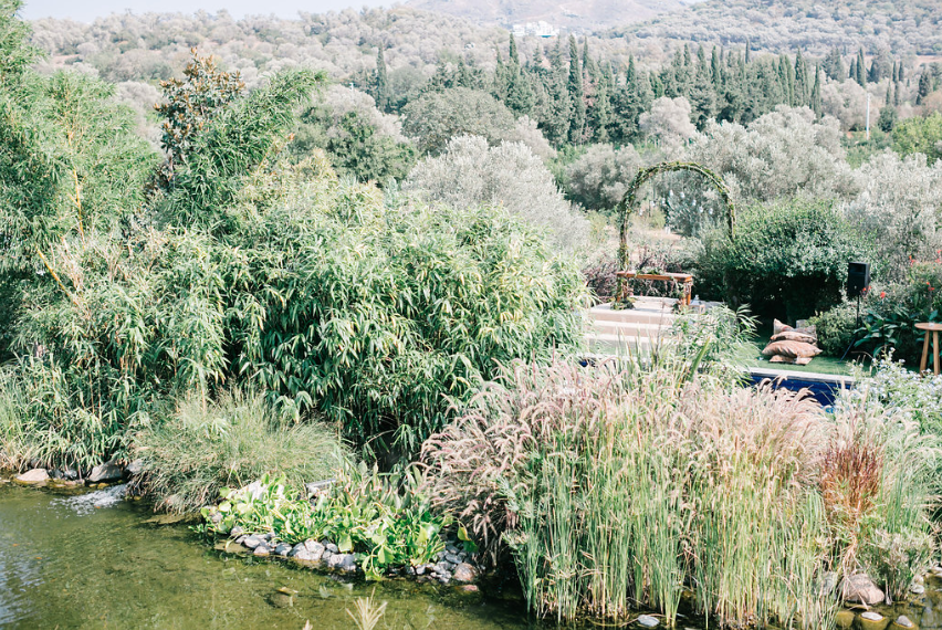 Winding stone path through the Mediterranean garden