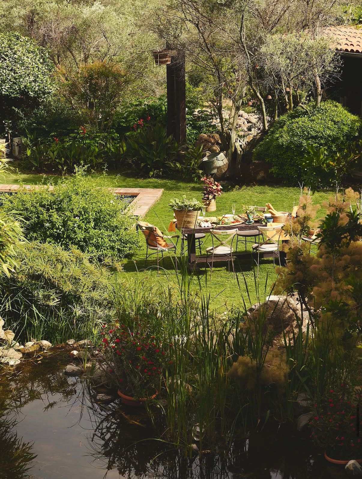 Garden table set for lunch by the lily pond