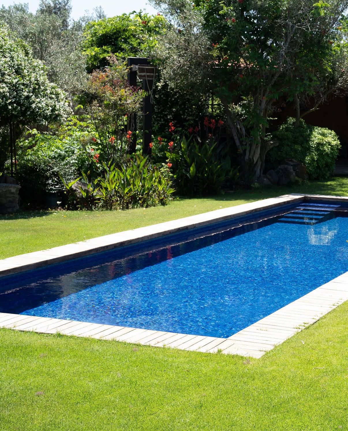 Pool surrounded by olive trees and gardens