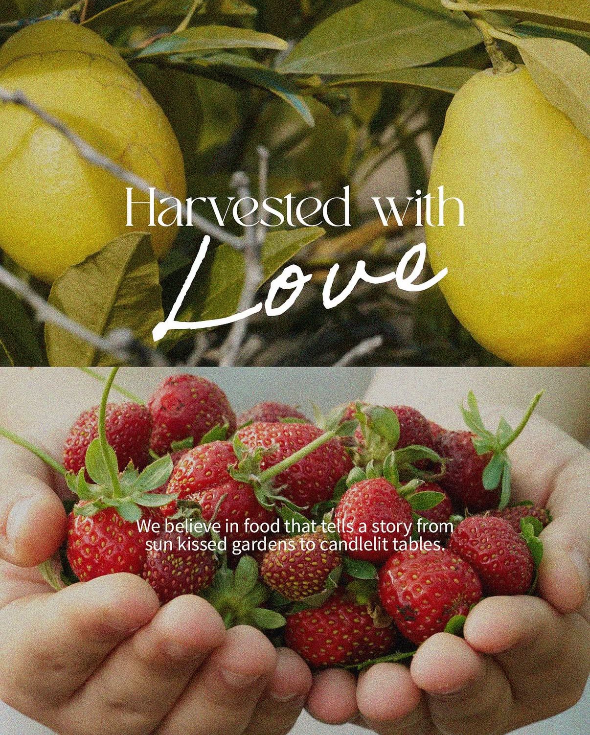 Harvested with love — lemons and strawberries